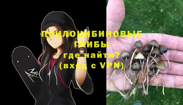 шишки Алзамай